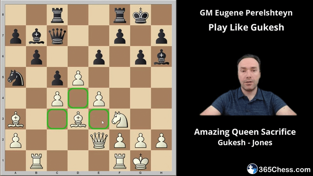 perelshteyn chess course